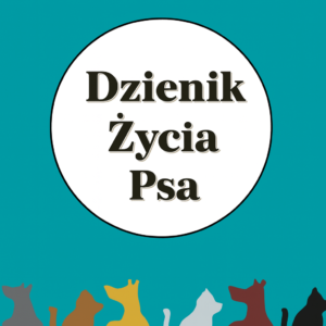 Cyfrowe materiały do nauki już od 4,99 zł | Bimli.pl