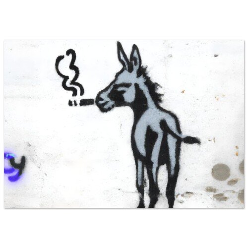 d029cb72-33b6-4cb1-9fe7-e331b0565c1d